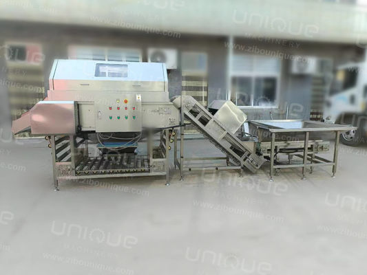 2000 kg/h Hoogdruk Lucht uienpeeler verwerkingslijn voor grootschalige productie