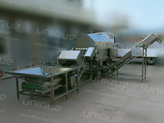 2000 kg/h Hoogdruk Lucht uienpeeler verwerkingslijn voor grootschalige productie