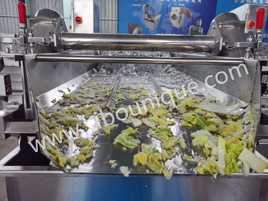 Roestvrij staal 4,4 kW koolwasmachine voor sterilisatie van groenten en salades