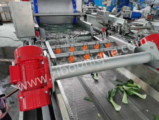 Roestvrij staal 4,4 kW koolwasmachine voor sterilisatie van groenten en salades