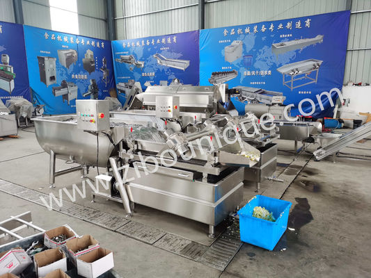 Professionele wasmachine voor groenten en fruit voor grootschalige productie