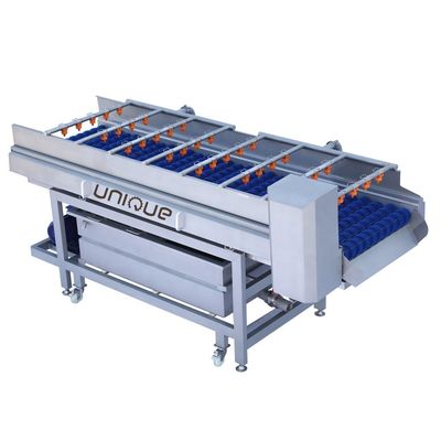 Mango borstel reinigingsmachine voor Peer Appel Wortel modder reiniging 3000*1250*1350 mm