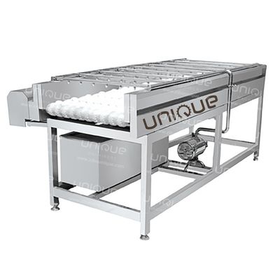 Mango borstel reinigingsmachine voor Peer Appel Wortel modder reiniging 3000*1250*1350 mm