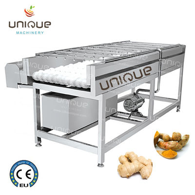 Mango borstel reinigingsmachine voor Peer Appel Wortel modder reiniging 3000*1250*1350 mm