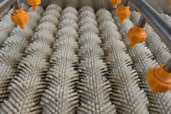Mango borstel reinigingsmachine voor Peer Appel Wortel modder reiniging 3000*1250*1350 mm