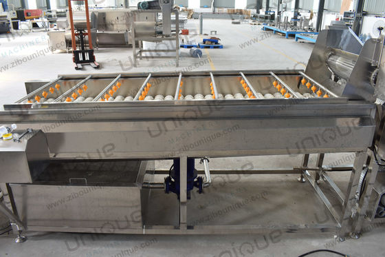Mango borstel reinigingsmachine voor Peer Appel Wortel modder reiniging 3000*1250*1350 mm