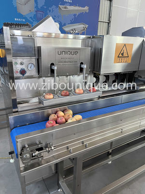 Op maat gemaakte Spanning 304 roestvrij staal Appel- en Peer schillen en kernsnijmachine