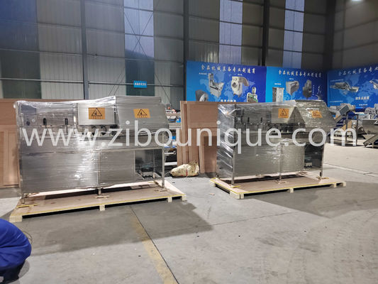 Op maat gemaakte Spanning 304 roestvrij staal Appel- en Peer schillen en kernsnijmachine