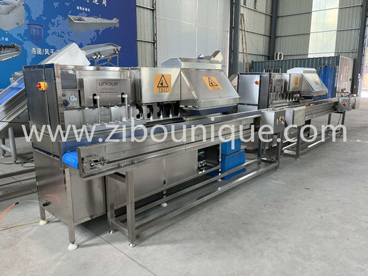 Apple Peeler Head Pear Peeling Coring Cutting Machine met videotechnische ondersteuning