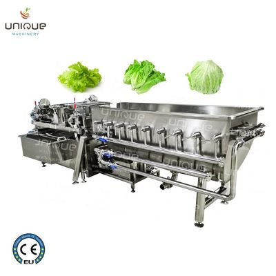 Fruit en groenten wasmachine schoonmaakmachine voor vers gesneden ijsberg sla