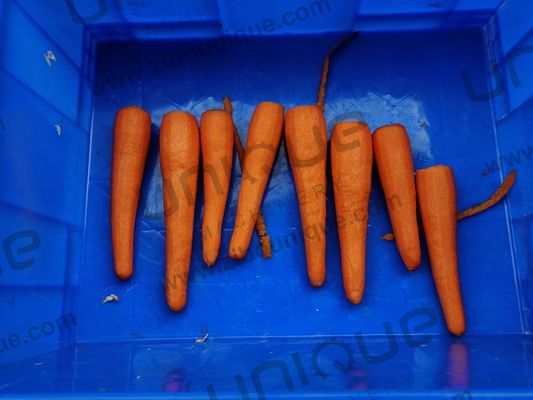 Online ondersteuning Wortel Daikon Groente mes Peeler Machine voor het schillen