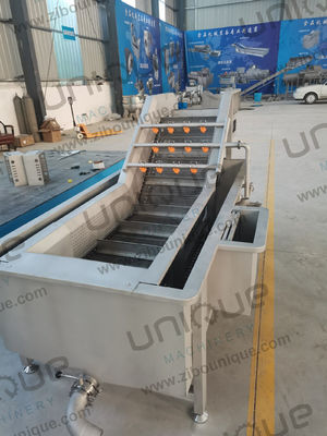 5000x1450x1400 mm bubbelgroentenwasmachine voor groenten-fruitwaslijn
