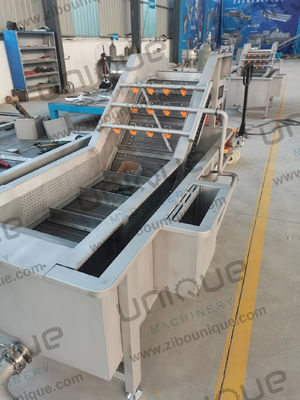 5000x1450x1400 mm bubbelgroentenwasmachine voor groenten-fruitwaslijn