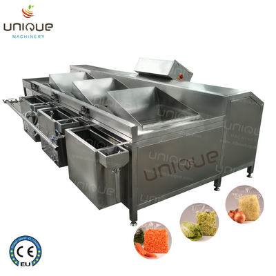 Sandblasting oppervlak Fruit and Vegetable Batch Washer voor Style Salad Washing Machine
