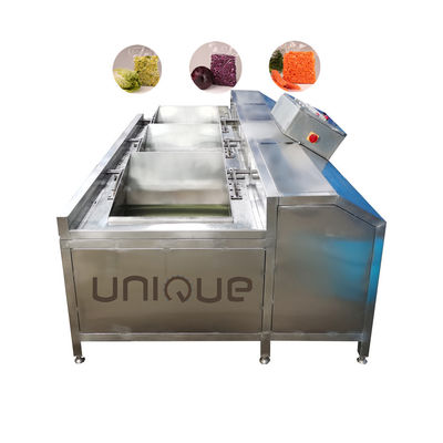 Sandblasting oppervlak Fruit and Vegetable Batch Washer voor Style Salad Washing Machine