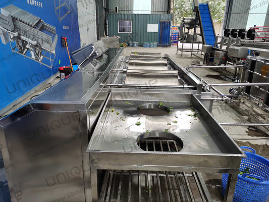 Sandblasting oppervlak Fruit and Vegetable Batch Washer voor Style Salad Washing Machine