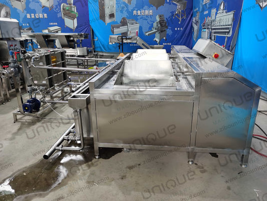 Sandblasting oppervlak Fruit and Vegetable Batch Washer voor Style Salad Washing Machine