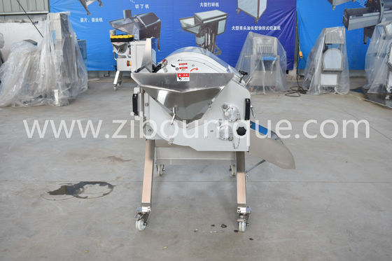 Industrial Cube Cutting Machine voor groentenverwerkende eenheden roestvrij staal 304