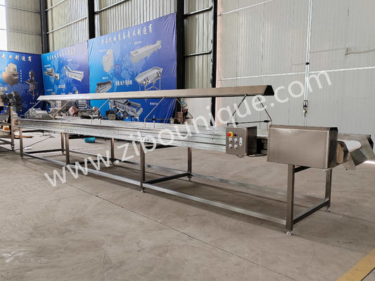 Lampsorteerconveyor voor fruit, sinaasappel, ui, appel