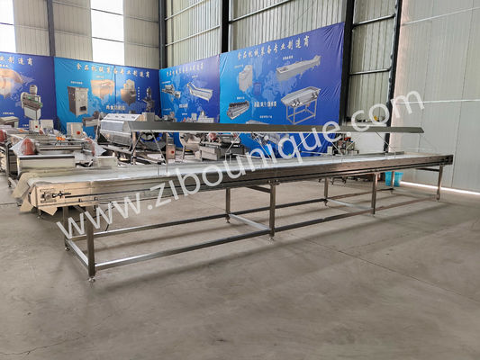 Lampsorteerconveyor voor fruit, sinaasappel, ui, appel