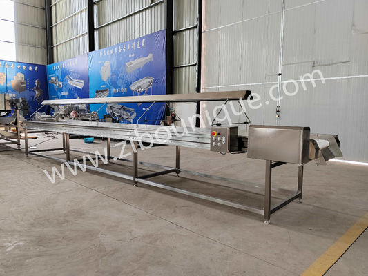 Lampsorteerconveyor voor fruit, sinaasappel, ui, appel